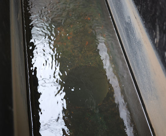 气浮机除磷效果好吗？